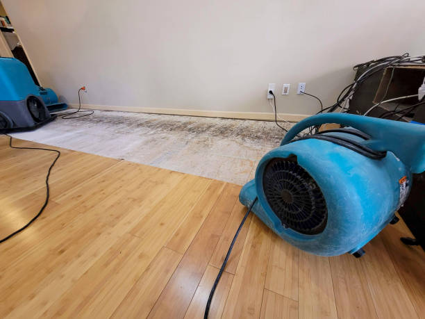 Reliable Basement Flood Cleanup contractor in Comfort, TX by Hirex Water Damage