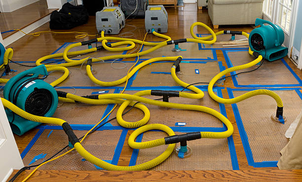 Professional Basement Flood Cleanup technician working in Comfort, TX